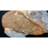 Oligonit